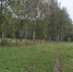 IMG_20250903_090239_583@1404546675.jpg - Куженерский муниципальный район