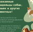 загруженное.png - Куженерский муниципальный район